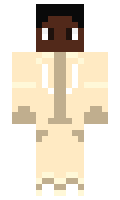 Dudc minecraft skin