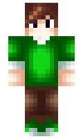 ForziYT minecraft skin