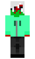 86c0a384024945 minecraft skin