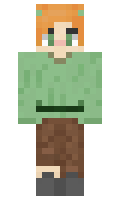 Explica minecraft skin