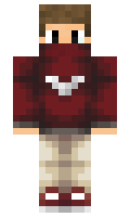 RobedBee minecraft skin