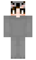 legitimate minecraft skin