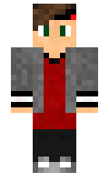 socol minecraft skin