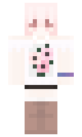 8710c97cdcaa25 minecraft skin