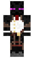 Thewinner4me minecraft skin