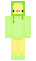 8726f57cc04d9d minecraft skin
