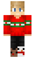 873c3002025ae2 minecraft skin