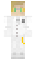 8778f6145fa73a minecraft skin