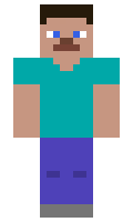 nios minecraft skin