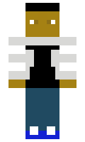 879c0d5fcc8cd9 minecraft skin