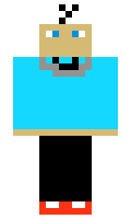 zap951 minecraft skin