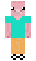 gamm minecraft skin