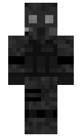 DimesPVP minecraft skin