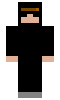 viesiits minecraft skin