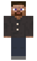 8808599bb9f4e8 minecraft skin