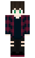 8809d7e64913f4 minecraft skin
