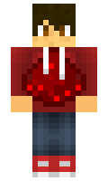 courstef minecraft skin