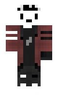polargamer minecraft skin
