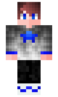 Herrbraun06 minecraft skin