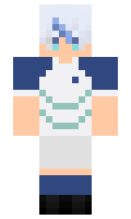 88356bfc37fb19 minecraft skin