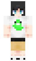 885d7b3886ecc9 minecraft skin