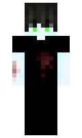 8860e31d544762 minecraft skin
