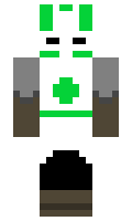 legas minecraft skin