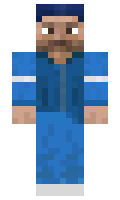 Alvesta minecraft skin