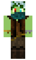 889dd880f48d0f minecraft skin