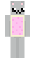 88a02f238038ed minecraft skin