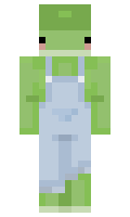 FROPSY minecraft skin