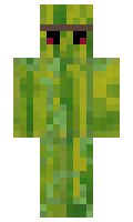 88cfb565c6bf22 minecraft skin