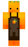 88f19c31c59173 minecraft skin