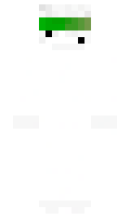 89071794f2bcca minecraft skin