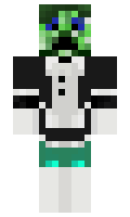 8914306553f88d minecraft skin