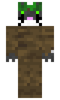 8922ffb2f1d14b minecraft skin