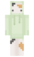 893453251f3694 minecraft skin