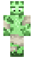 895f78fd00ba4c minecraft skin