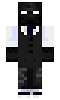 Paldun minecraft skin