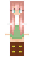 896a1481b2674e minecraft skin