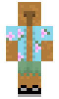 376K minecraft skin