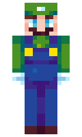 bwocke minecraft skin