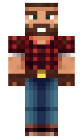 steinekin minecraft skin