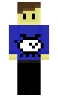 89dd12d4339fcd minecraft skin