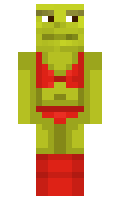 89ee4018a1293f minecraft skin