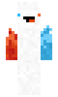 RAYLEIX minecraft skin