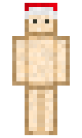 89f95afb983395 minecraft skin