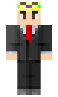 SquiddXD minecraft skin