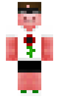 FEIHN minecraft skin