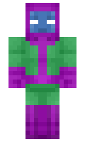 8a137f1f61e17d minecraft skin